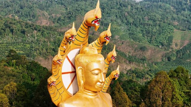 Golden budda statue of Wat bang riang temple gleaming under sunlight, standing majestically inside tranquil temple grounds near verdant forest landscape in Phang nga, Thailand.