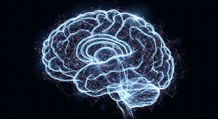 Abstract Networked Human Brain Detailed 3D Model.