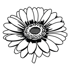 An orange gerbera daisy, forward-facing, with perfect symmetry, radiating cheerful and vibrant energy.