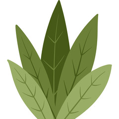 Flat Design Green Leaves Plant Illustration Element