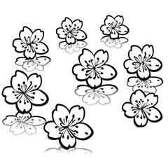 Pink cherry blossoms, scattered on a reflective surface, creating a beautiful and serene springtime tableau.