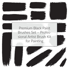 Premium Black Paint Brushes Set – Professional Artist Brush Kit for Painting