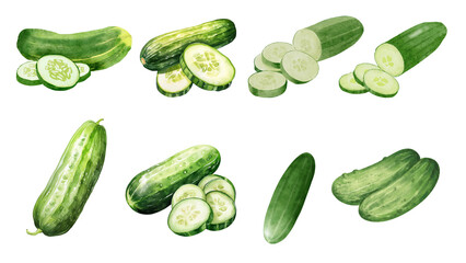 Set of watercolor cucumber