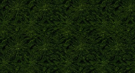 green grass background