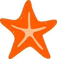 vector illustration of a starfish