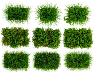  Assorted green grass tufts in different shapes and sizes, arranged in a flat layout on white background