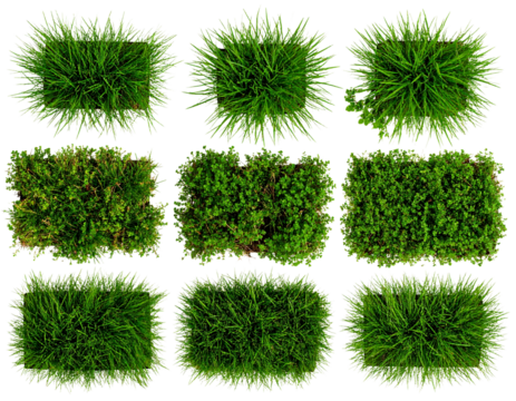  Assorted green grass tufts in different shapes and sizes, arranged in a flat layout on white background
