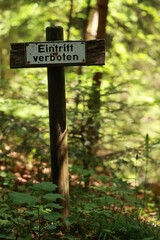 Sign in a forest with the word 