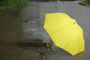 Yellow umbrella on wet asphalt outdoors, space for text