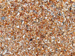 close up view of a lot of dried fish