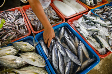 Explore the Fresh Seafood Display at the Local Market  A Haven for Culinary Enthusiasts