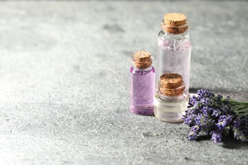 Bottles of lavender essential oil and flowers on grey table, closeup. Space for text