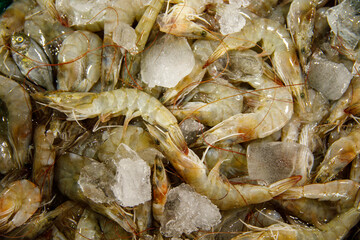 Fresh Shrimp for Seafood Lovers Discover A Culinary Delight Like No Other Today