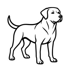 Fototapeta premium Loyal Labrador Retriever Dog Vector Art - Ideal for Pet and Canine Designs