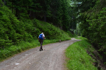 Obraz premium Mann wandert im Ultental in Südtirol 