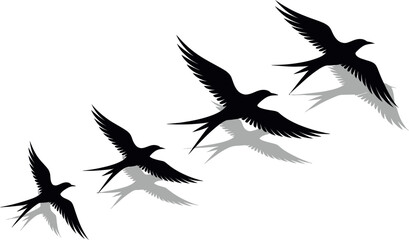 Fototapeta premium Silhouettes of four swallows in flight with subtle grey shadows on a white background