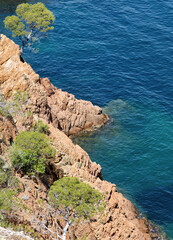 Mediterranean Sea with cliffs with typical reddish rocks and conifers on the Cote d'Azur, French...