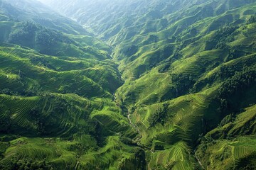 Fototapeta premium aerial view of rice terraces carved into the hillsides in a remote valley