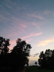 Glory nature in Bangladeshi village. Rural village's trees silhouettes and sunset in the evening. Electricity cable wire in nature. 