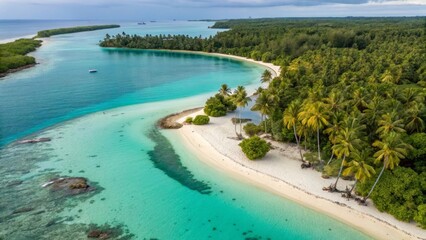 Tropical Paradise Aerial View of a Stunning Beachfront with Clear Blue Water and Lush Green Forest. Peaceful Coastline