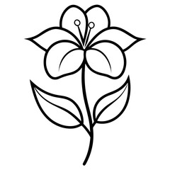 pimpernel line art vector  on white background
