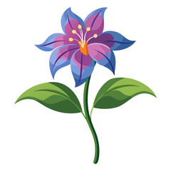 pimpernel vector on white background