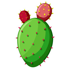 prickly pear on white background