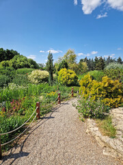 Winding stone path through a vibrant garden with green plants and colorful flowers on both sides, under a bright blue sky with fluffy white clouds. A sunlit trail drifting amid greenery with blooms