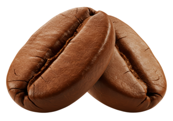 Isolated Pair of Roasted Coffee Beans, Aromatic Duo