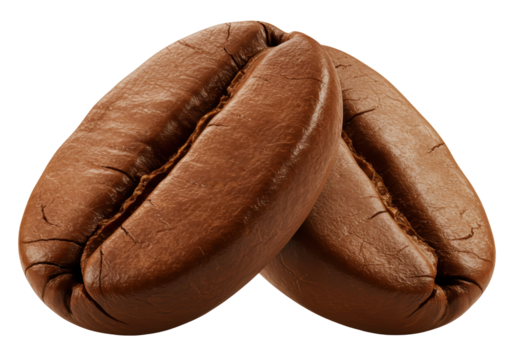 Isolated Pair of Roasted Coffee Beans, Aromatic Duo