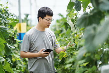 asian farmer using smart phone in greenhouse