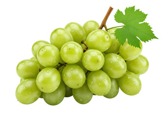 Isolated Bunch of Green Grapes with Water Droplets, Refreshing Cluster
