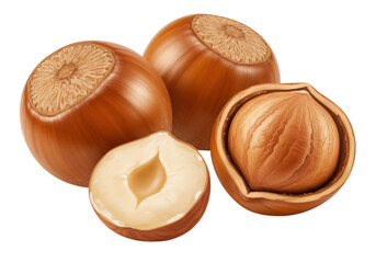 Isolated Hazelnuts with Shells and Cut Kernels, Nutty Trio