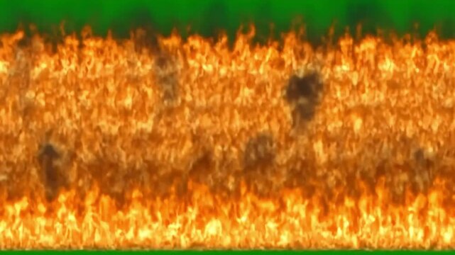 Intense fire wall animation with vibrant flames and green screen background for visual effects