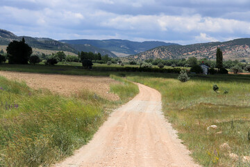 a path that stretches through beautiful nature