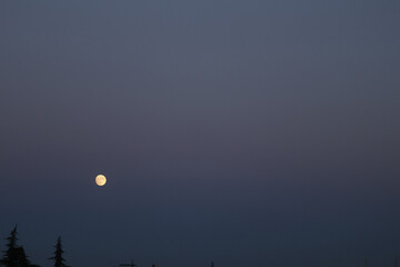 Full Moon on a blue night sky