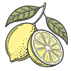 Illustration of fresh lemon with sliced half and green leaves in a minimalistic style emphasizing citrus freshness and vibrant natural colors