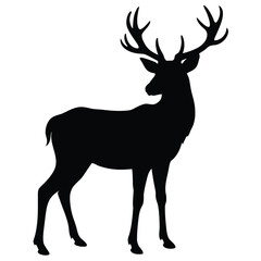Obraz premium Elegant deer silhouette displays its majestic antlers against a stark white transparent background