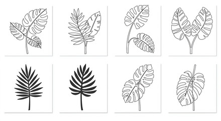 set 4 types different tropical Leaf Stencils drawn with a single black line, white background