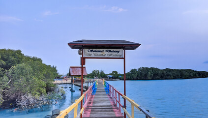 Scenic Wooden Pier with Mangrove and Blue Waters