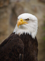 Obraz premium OLYMPUS DIGITAL CAMERA