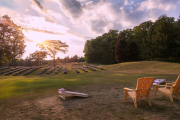 A serene lavender farm in southern Ontario captures the enchanting glow of sunset, creating a picturesque and tranquil landscape.