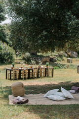Aesthetic picnic under an olive tree, Italian summer vibe	