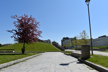 park in spring