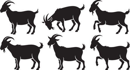 vector illustration of goat