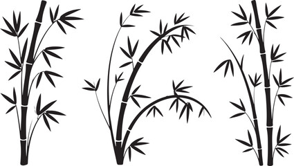bamboo vector illustration