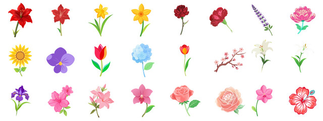Vector set of colorful flower illustrations - lilies, tulips, roses, hydrangea, sunflowers. For botanical design, educational materials, floral patterns, and seasonal creative projects.