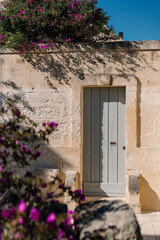 Fototapeta premium blue door and flowers in provence