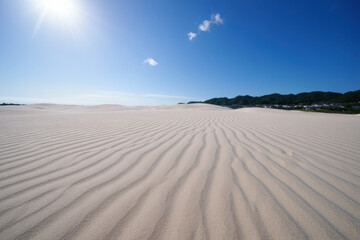 Naklejka premium A wide shot of a vast sand dune landscape under a bright blue sky with scattered clouds and distant trees