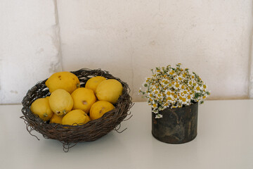 still life with yellow flowers and lemons